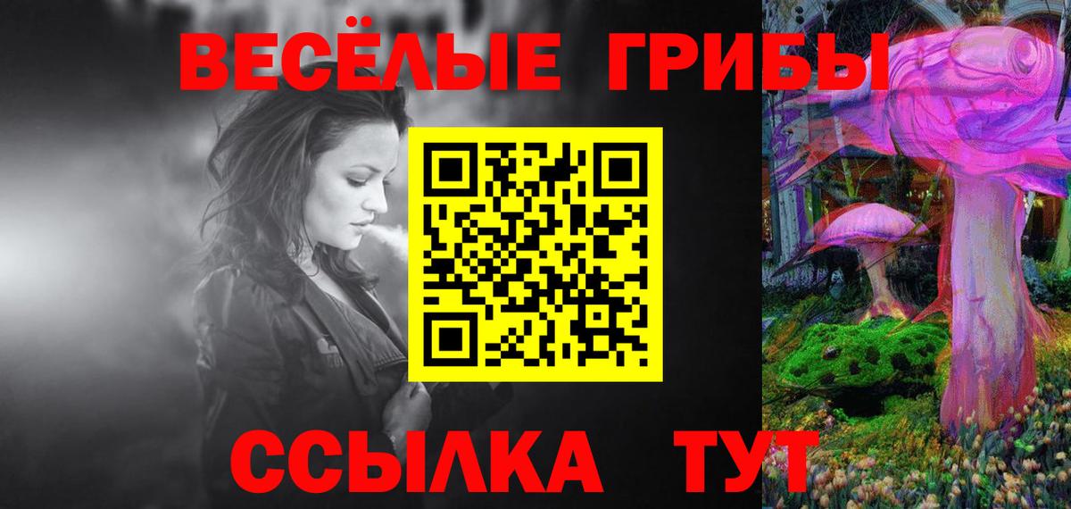 Галлюциногенные грибы MAGIC MUSHROOMS  Вход с VPN  Евпатория 